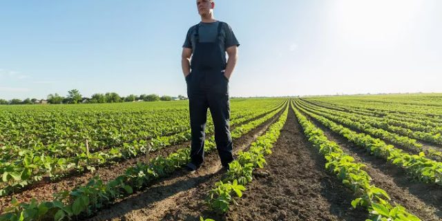 shutterstock_agrotis_.jpg αγρότης